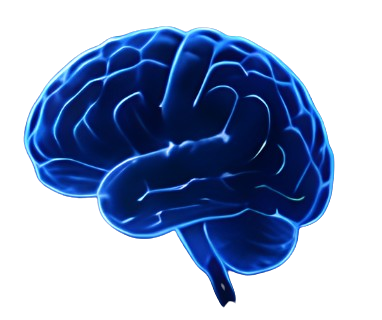 Cognitive Performance